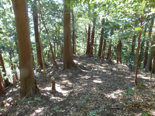 登山道